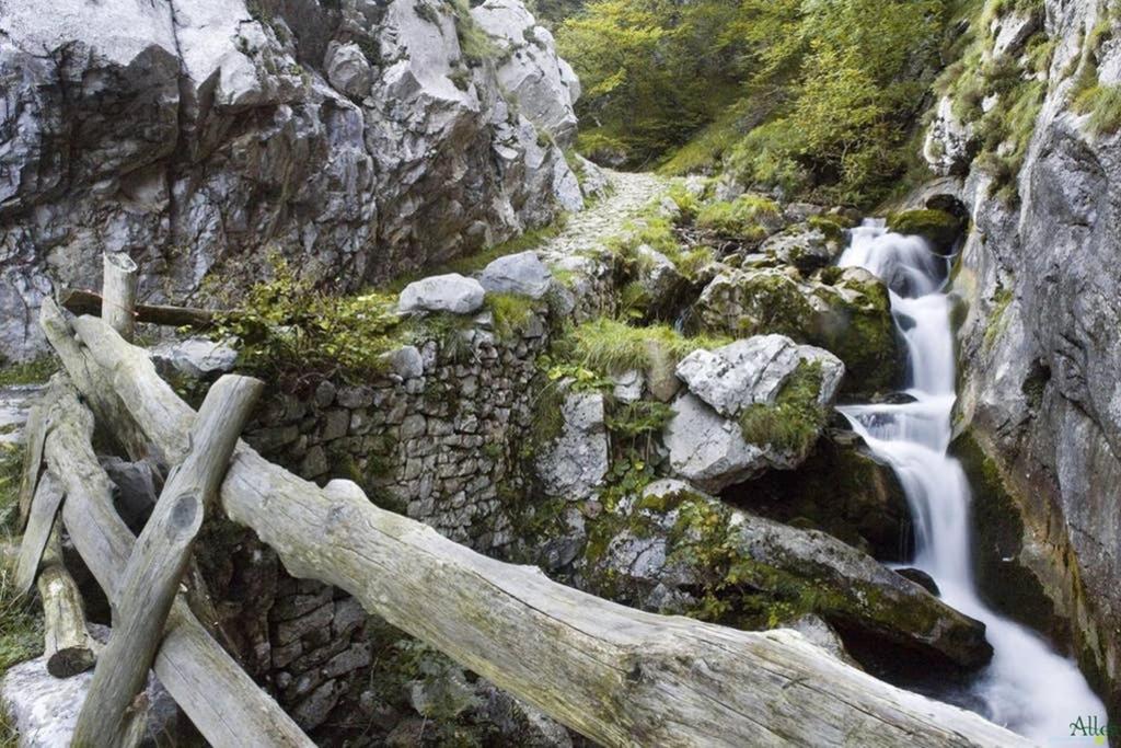 Los Molinos - Atico En Montana De Asturias Фелечоса Экстерьер фото