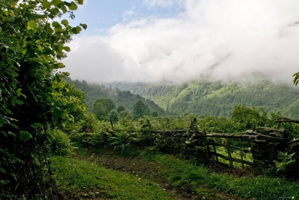 Los Molinos - Atico En Montana De Asturias Фелечоса Экстерьер фото