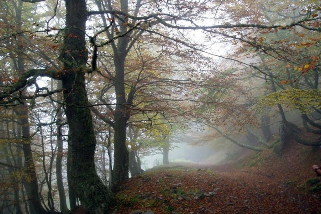 Los Molinos - Atico En Montana De Asturias Фелечоса Экстерьер фото